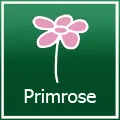  Primrose Discount Codes